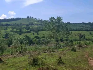 Farm Land for Sale
