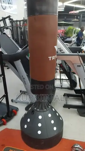 Free-Standing Punching Bag