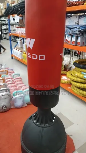 Free-Standing Punching Bag
