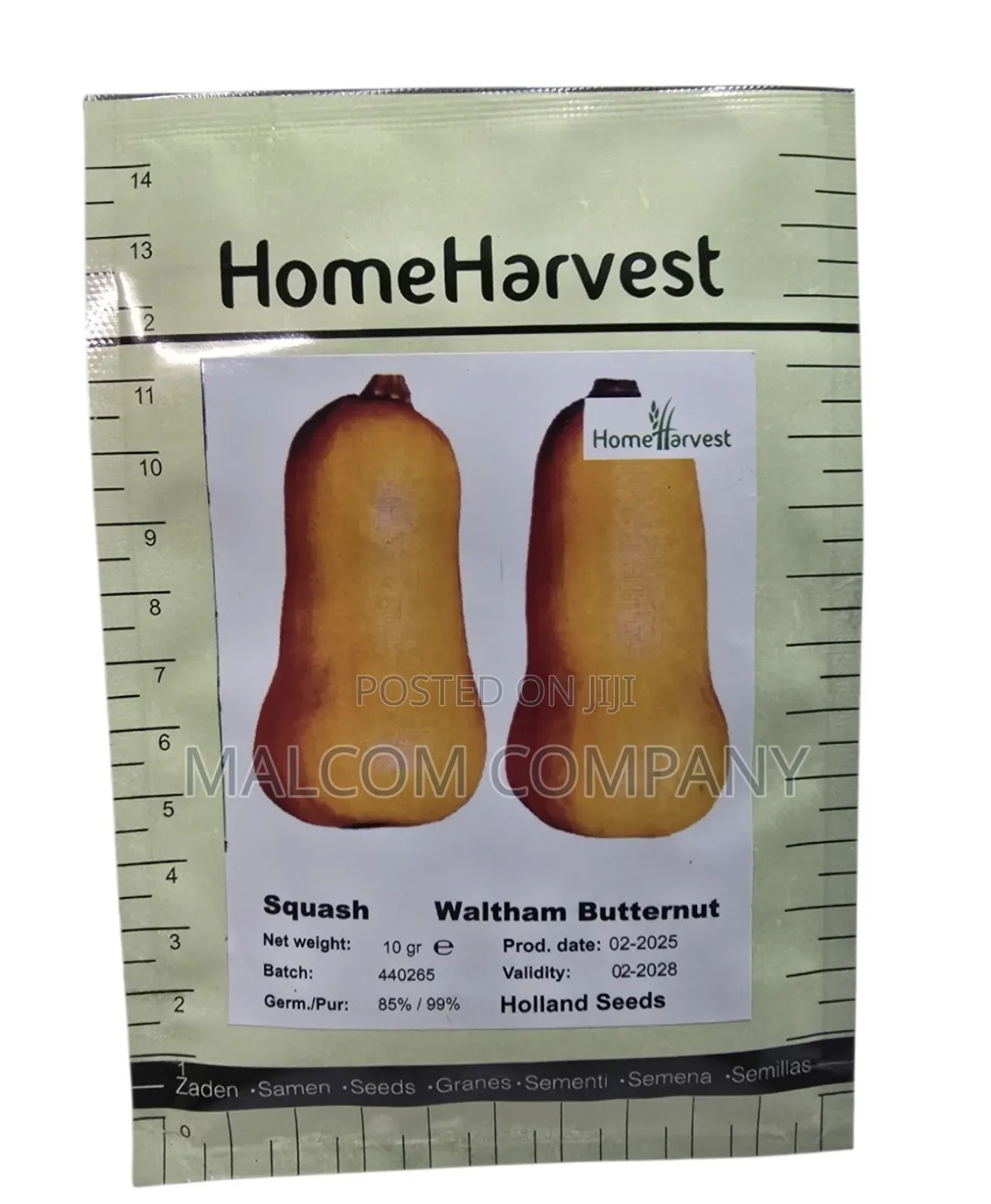 Butternut Seeds for Planting 5g