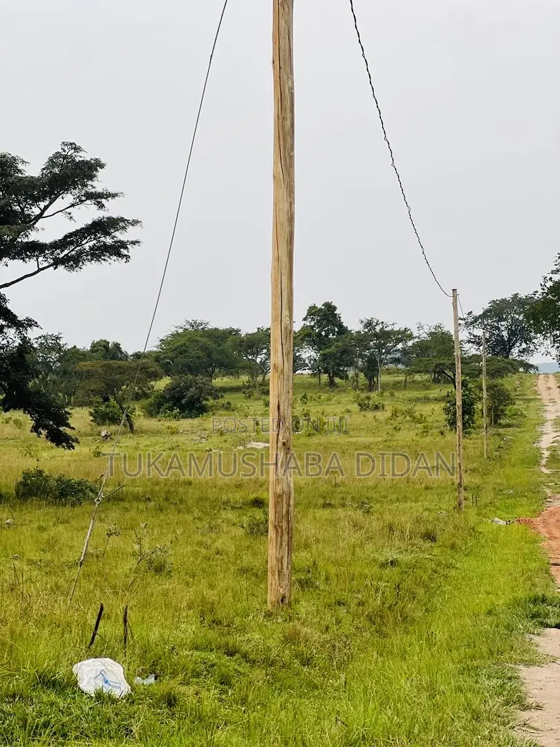 Lyantonde Estate