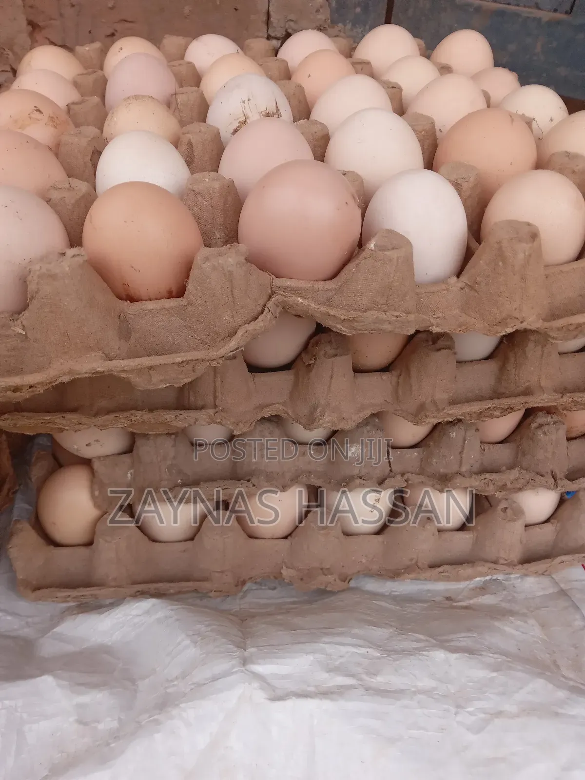Zaytex Local Poultry Breeders Farm