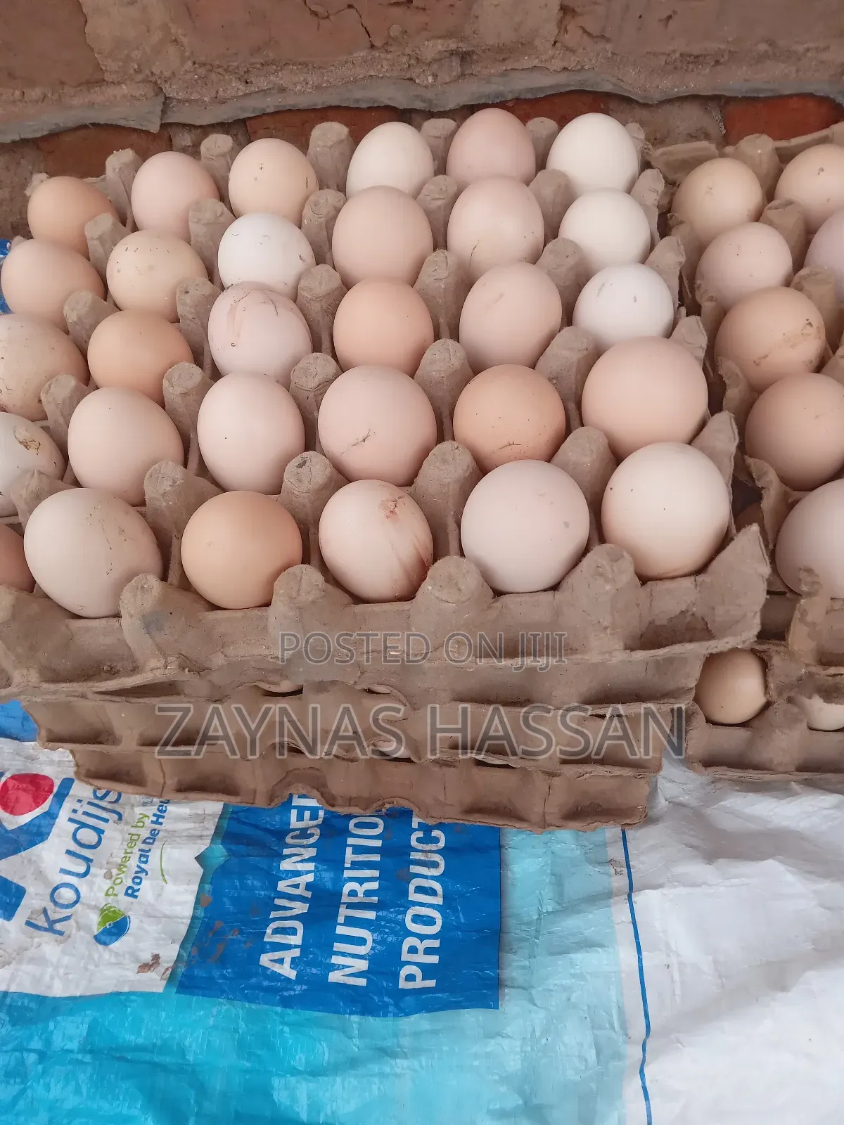 Zaytex Local Poultry Breeders Farm