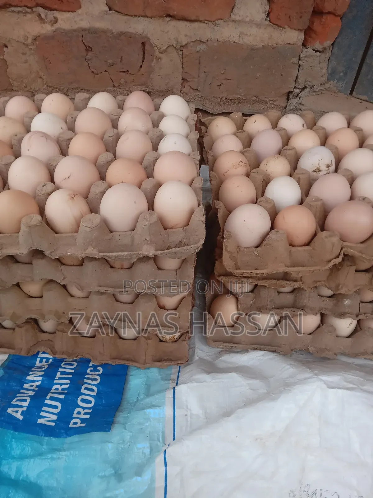 Zaytex Local Poultry Breeders Farm