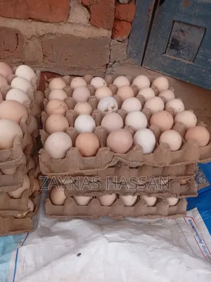 Zaytex Local Poultry Breeders Farm