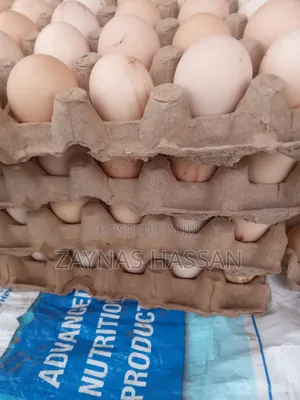 Zaytex Local Poultry Breeders Farm