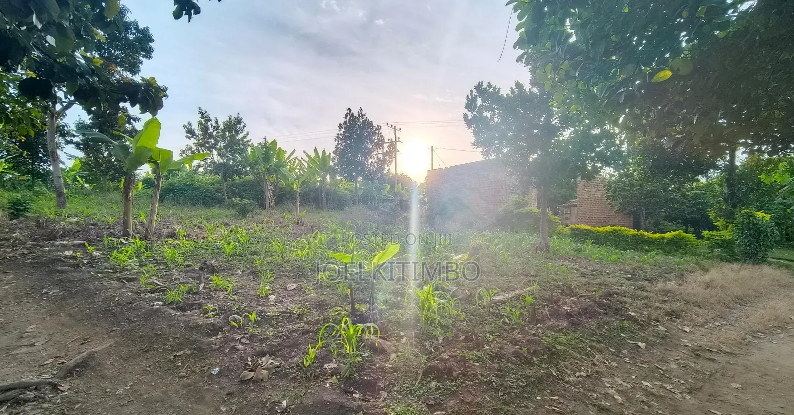 Land in Bombo - Ndejje_plot of 50*100ft Near Main Road, With Power