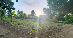 Land in Bombo - Ndejje_plot of 50*100ft Near Main Road, With Power