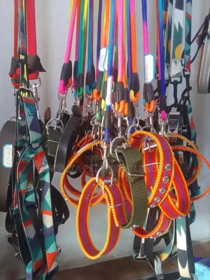 Leash and Colors