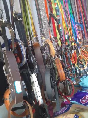 Leash and Colors