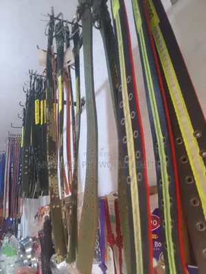 Leash and Colors
