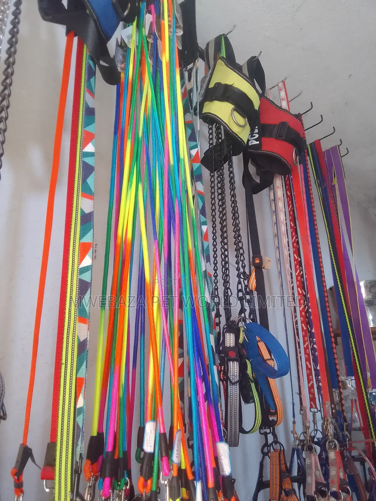 Leash and Colors