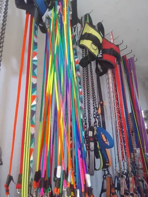 Leash and Colors