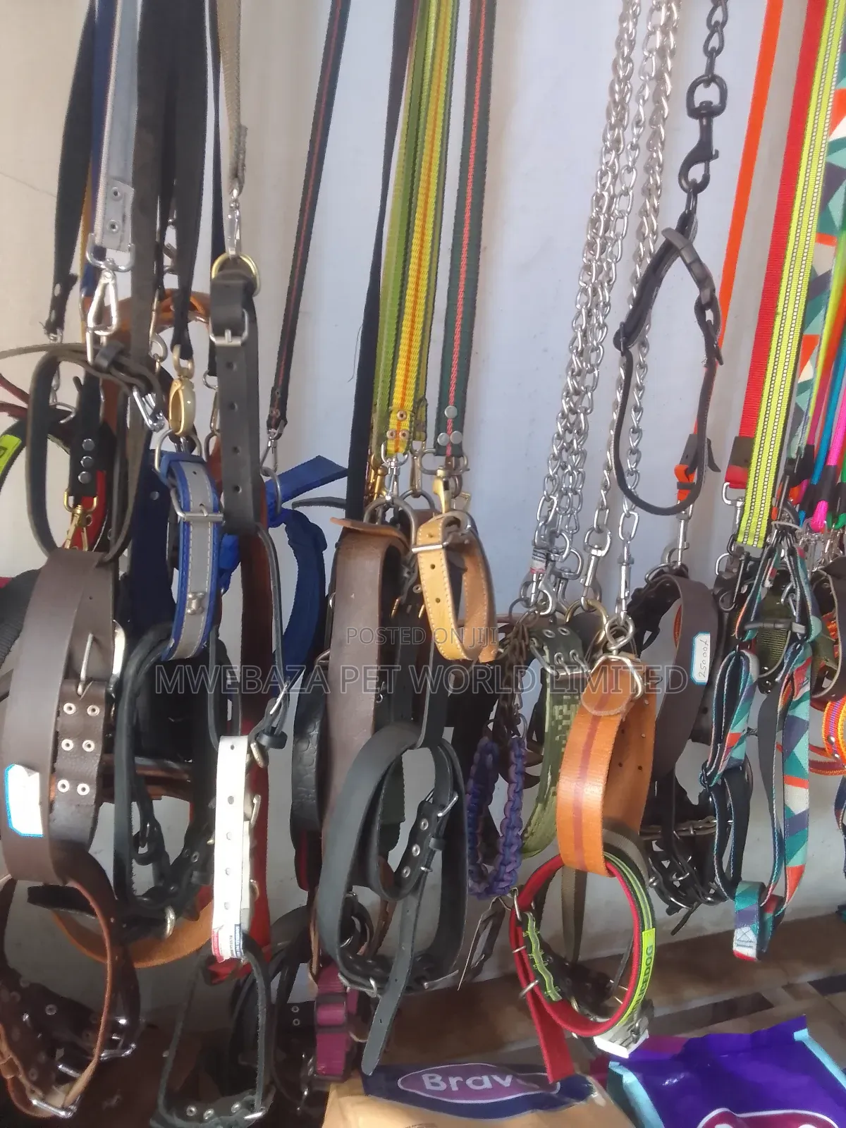 Leash and Colors