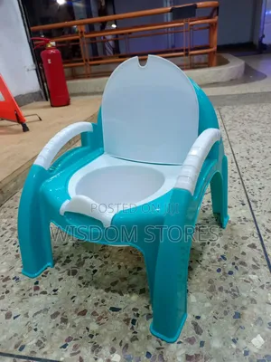 Baby Potty Chair.