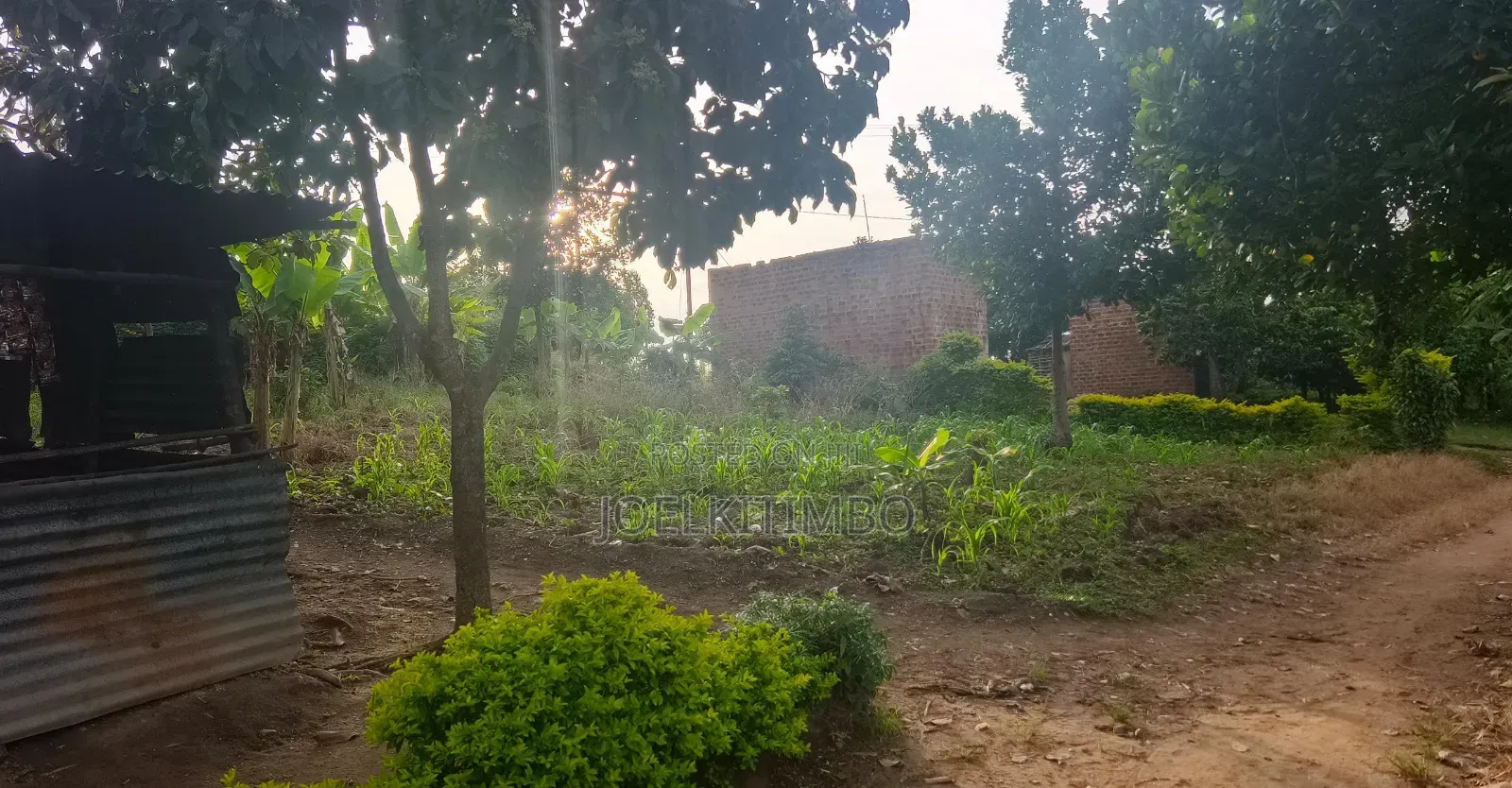 Land in Bombo - Ndejje_plot of 50*100ft Near Main Road, With Power