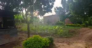 Land in Bombo - Ndejje_plot of 50*100ft Near Main Road, With Power