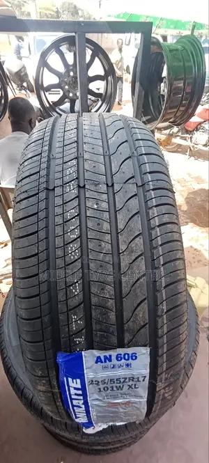 225/55r17 Annaite