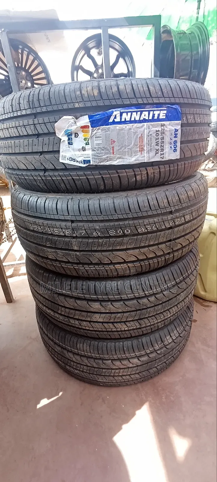 225/55r17 Annaite