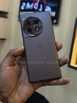 OnePlus 12R 256 GB Gray