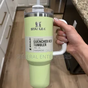 Stanley Vacuum Mug