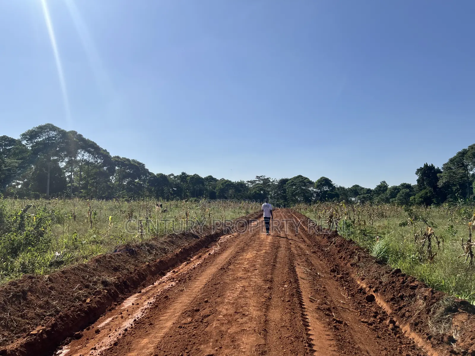 Land for Sell Mukono