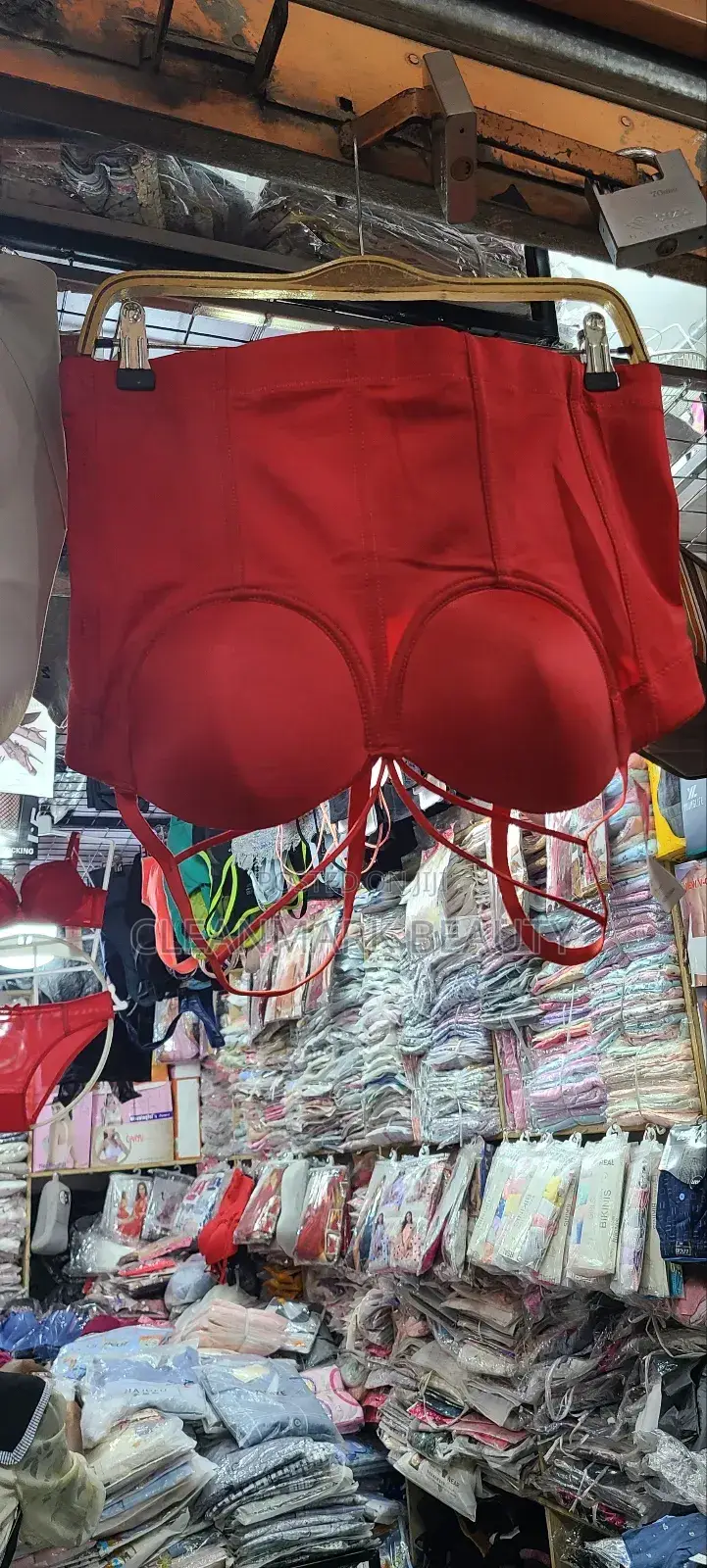 Corset and Top Bra