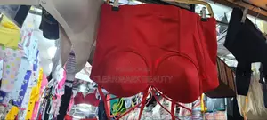 Corset and Top Bra