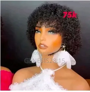 Short Curly Wig