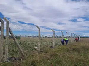 Chain Link Fencing