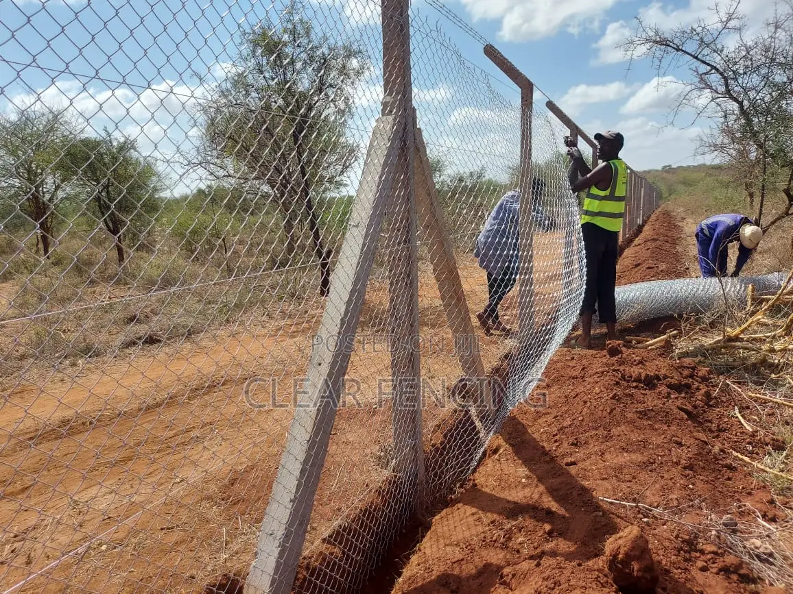 Chain Link Fencing