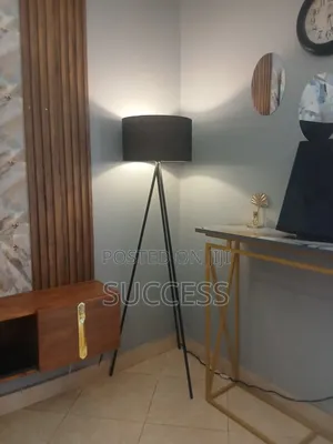 Tripod Metallic Floor Lamp Black Colour.
