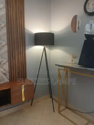 Tripod Metallic Floor Lamp Black Colour.