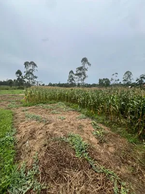 200 Acres of Low Land at Maya on Masaka Road Wakiso District