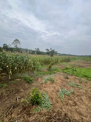 200 Acres of Low Land at Maya on Masaka Road Wakiso District