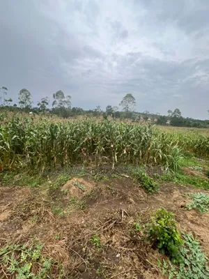 200 Acres of Low Land at Maya on Masaka Road Wakiso District