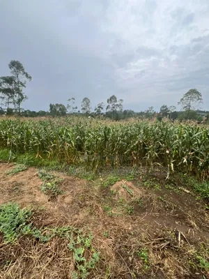 200 Acres of Low Land at Maya on Masaka Road Wakiso District