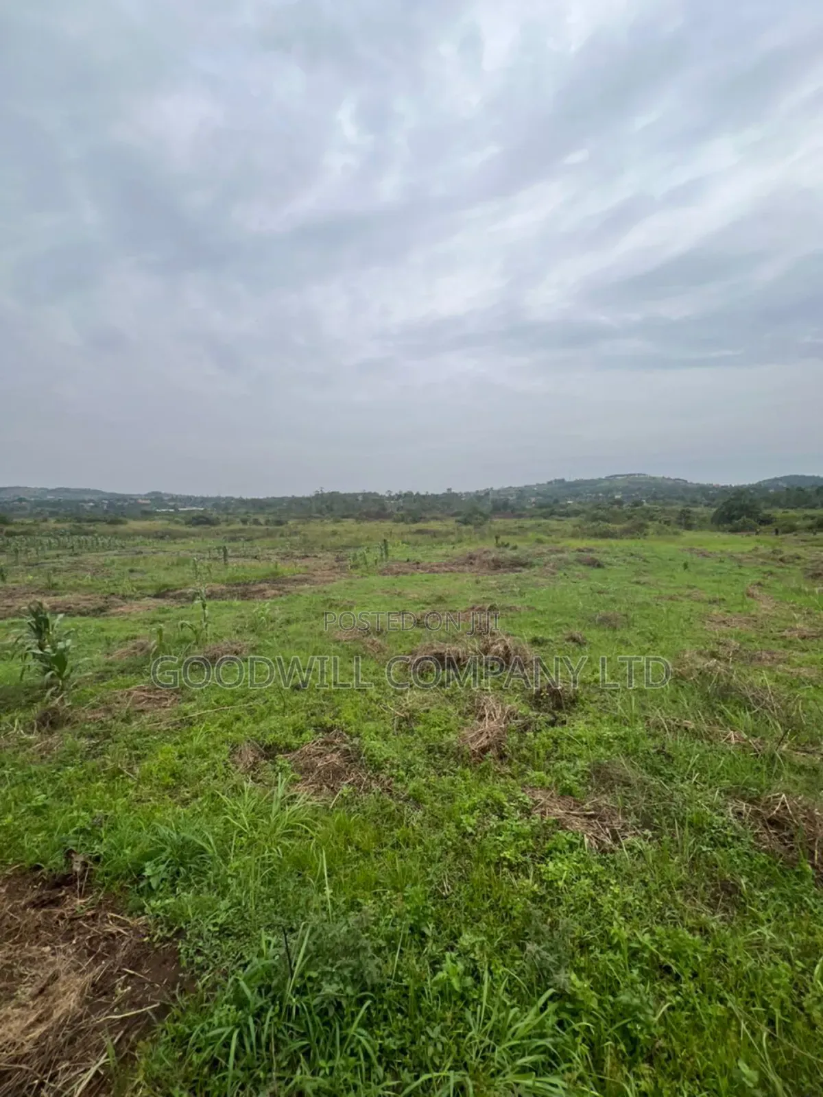 200 Acres of Low Land at Maya on Masaka Road Wakiso District