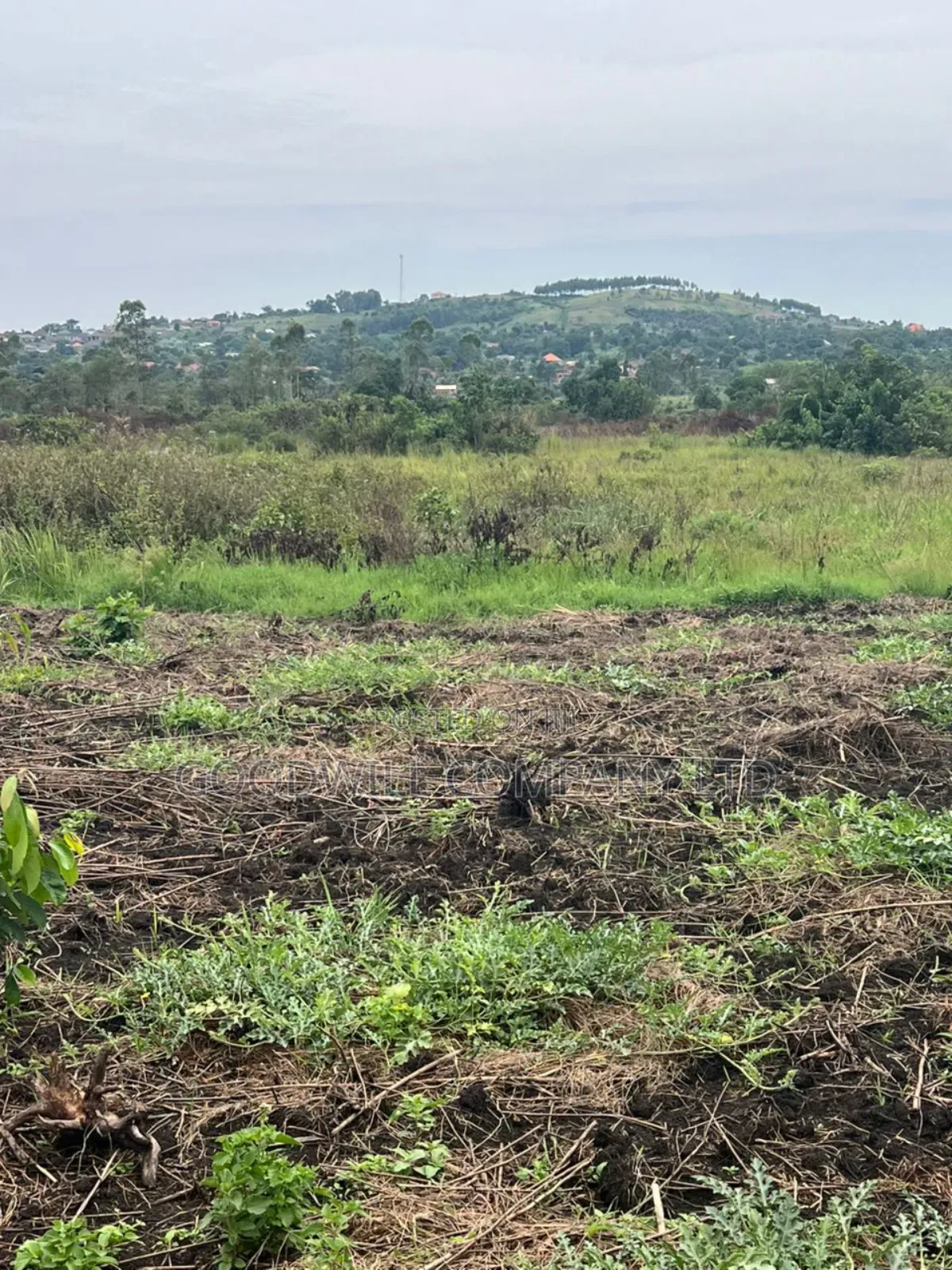 200 Acres of Low Land at Maya on Masaka Road Wakiso District