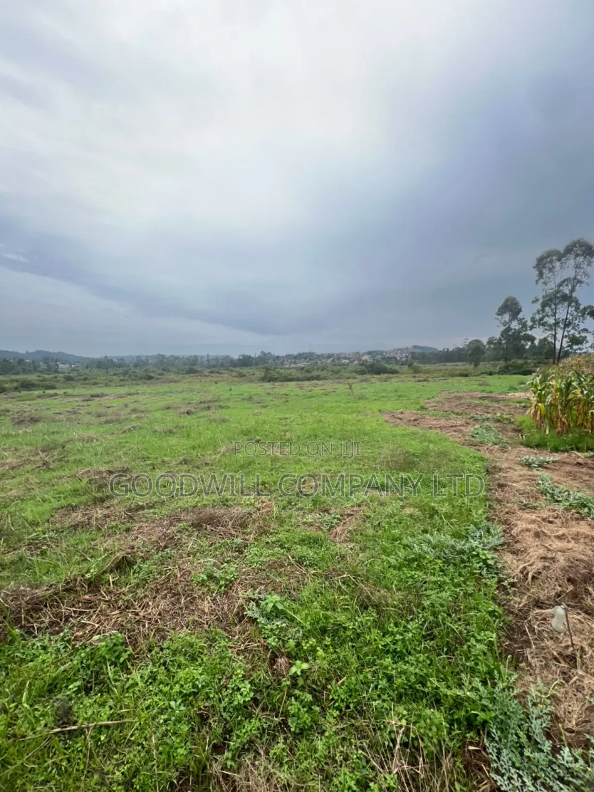 200 Acres of Low Land at Maya on Masaka Road Wakiso District