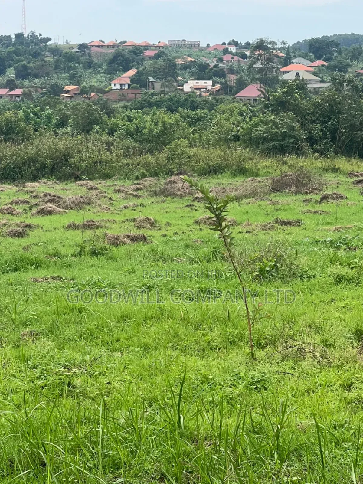 200 Acres of Low Land at Maya on Masaka Road Wakiso District