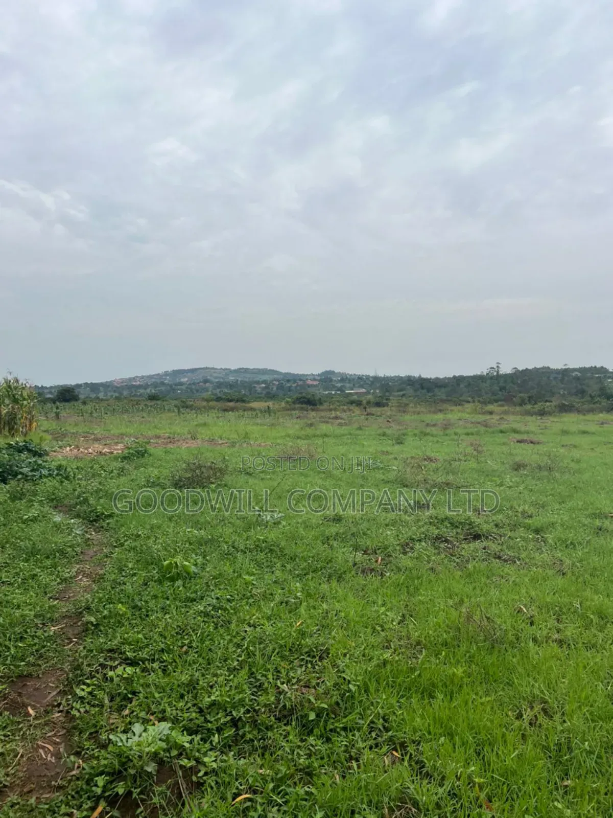 200 Acres of Low Land at Maya on Masaka Road Wakiso District