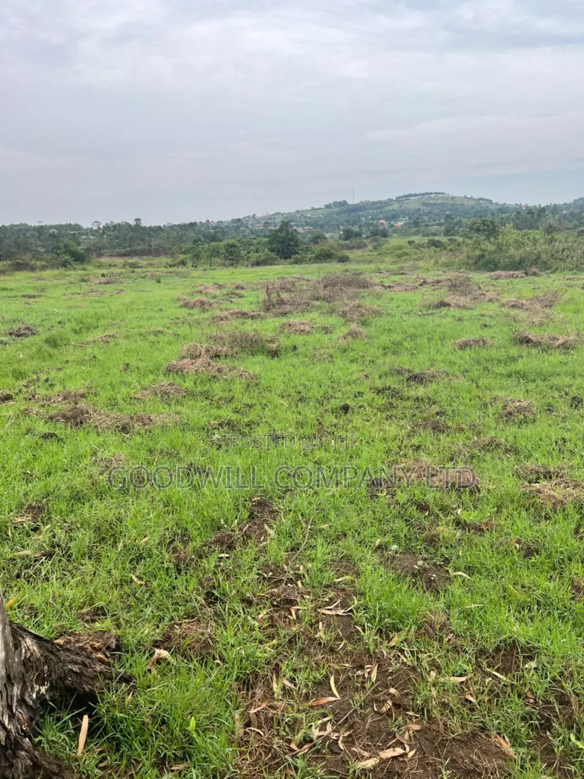 200 Acres of Low Land at Maya on Masaka Road Wakiso District