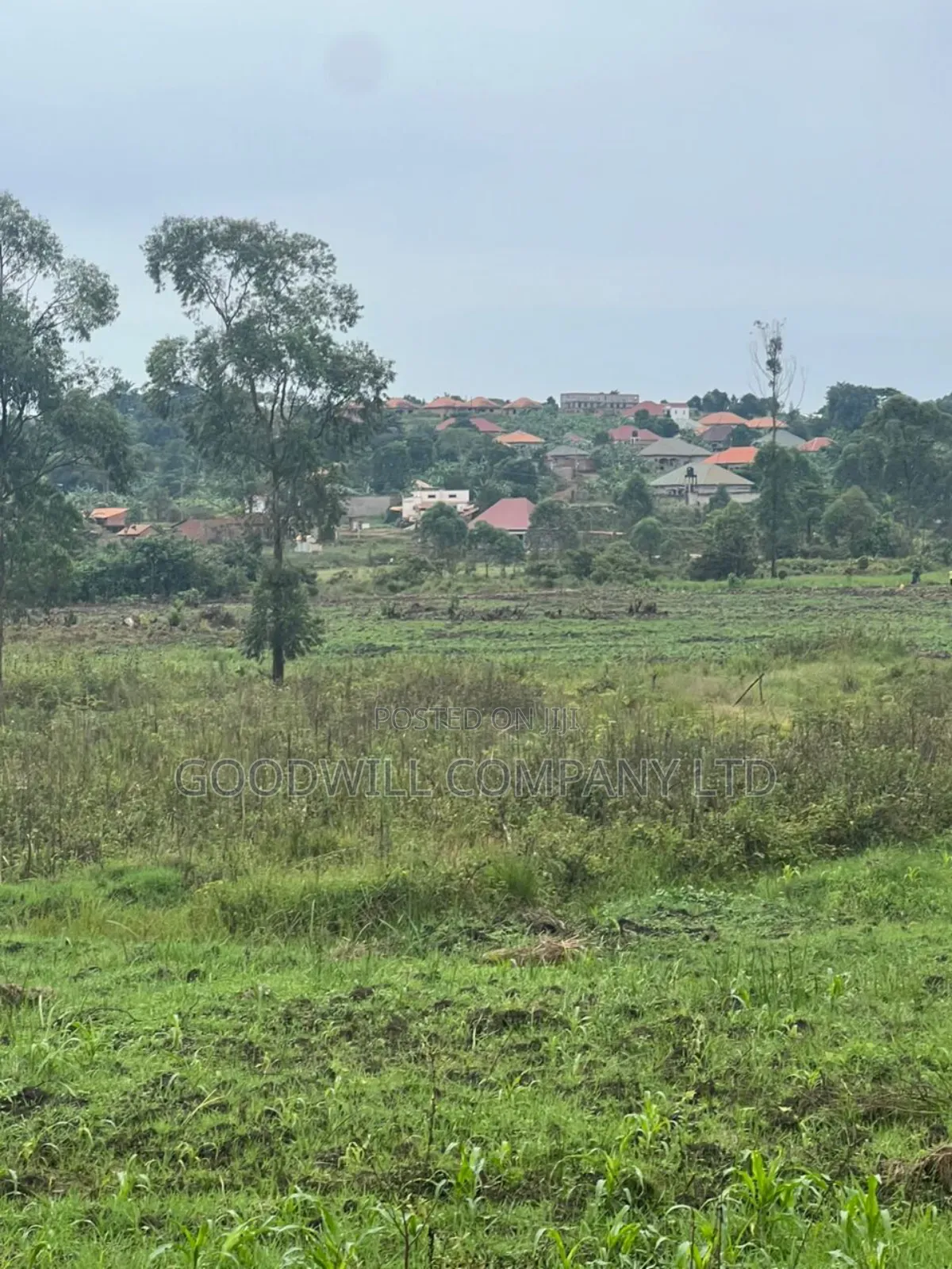 200 Acres of Low Land at Maya on Masaka Road Wakiso District