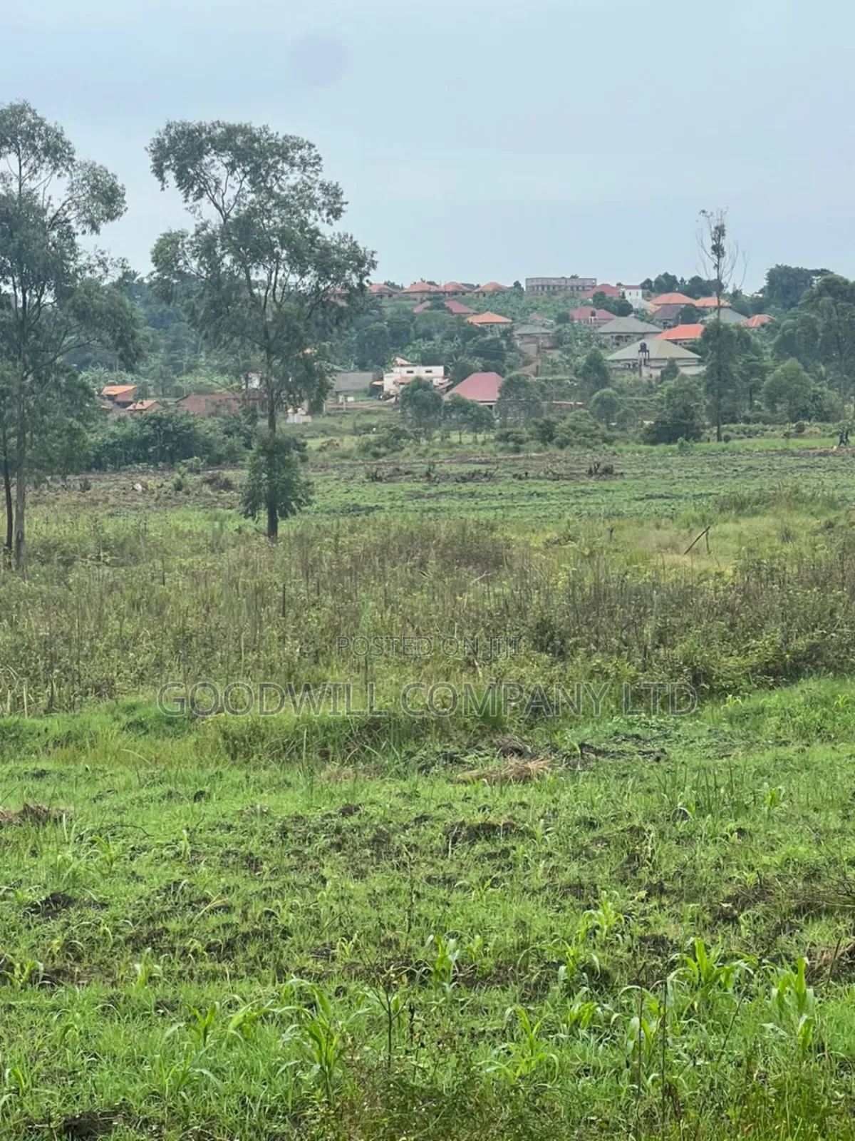 200 Acres of Low Land at Maya on Masaka Road Wakiso District