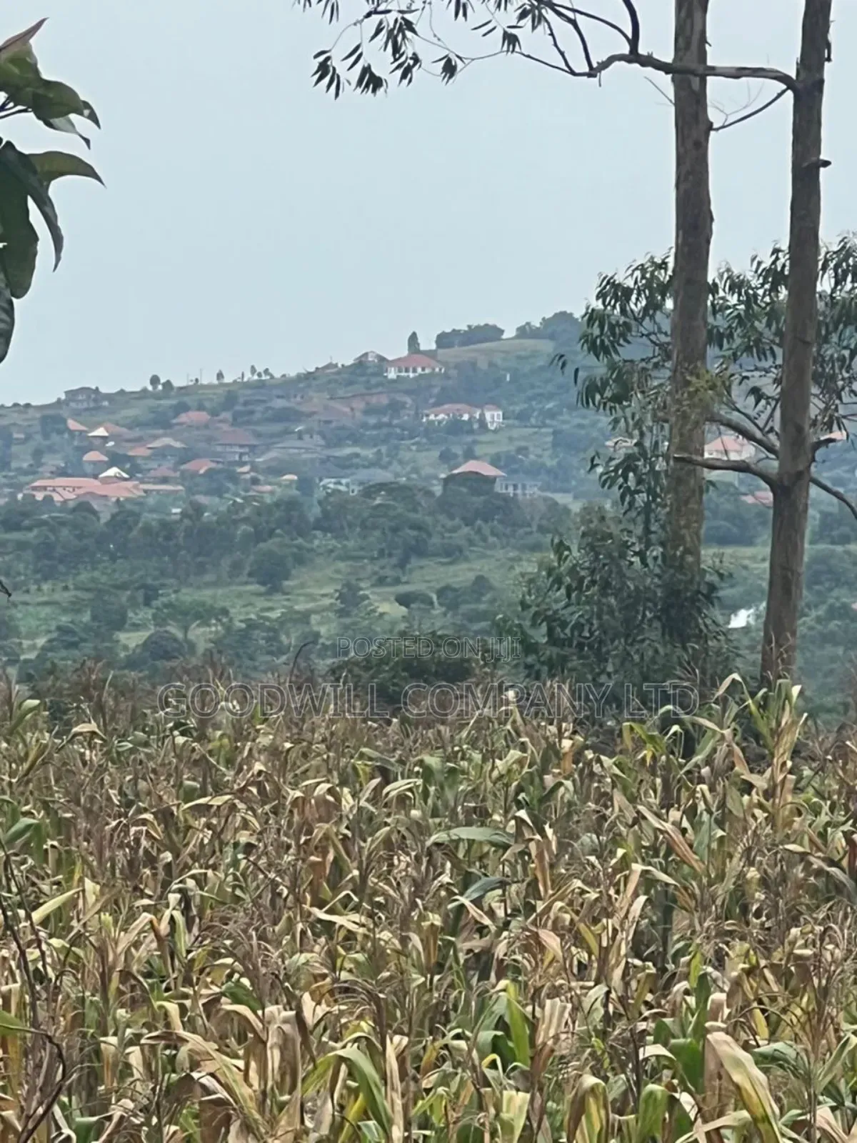 200 Acres of Low Land at Maya on Masaka Road Wakiso District