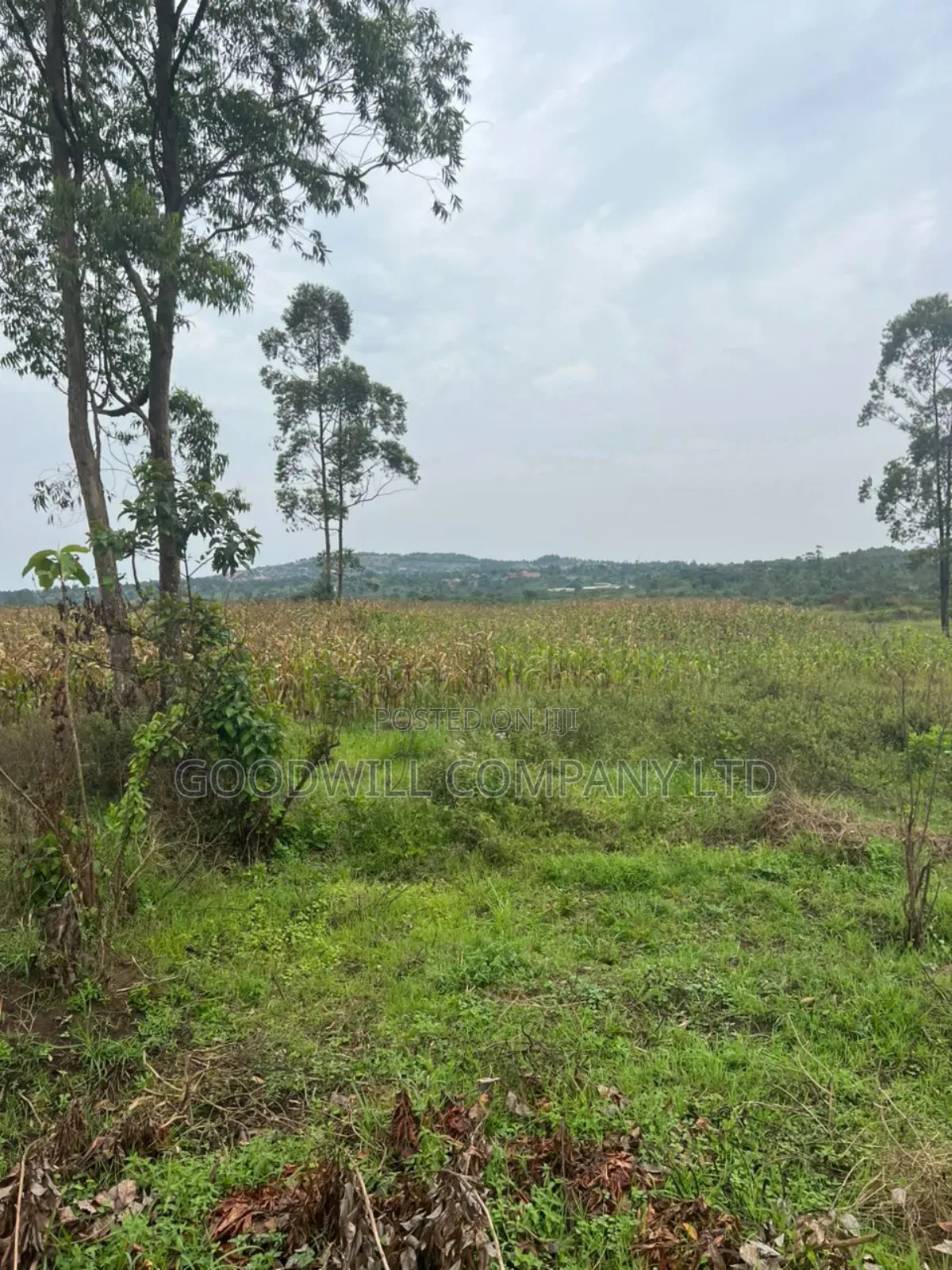 200 Acres of Low Land at Maya on Masaka Road Wakiso District