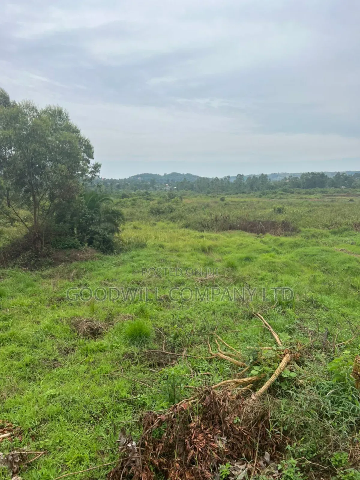 200 Acres of Low Land at Maya on Masaka Road Wakiso District
