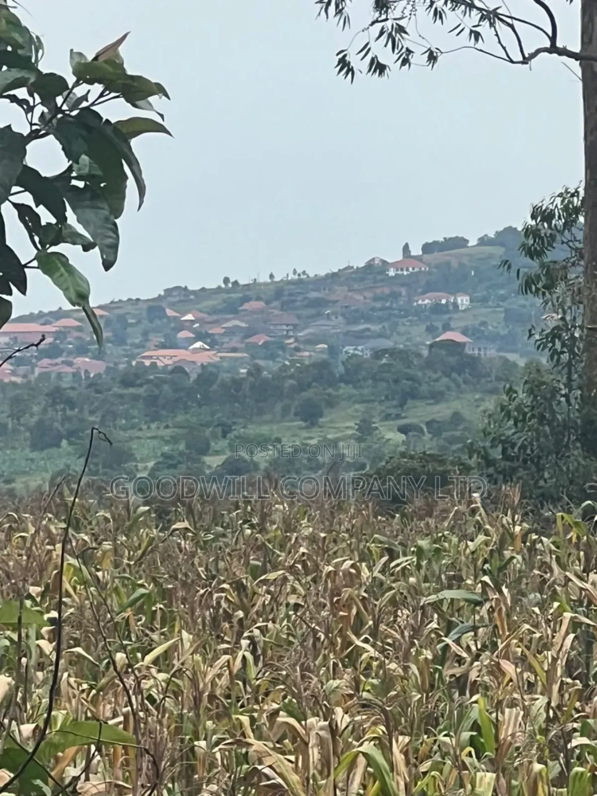 200 Acres of Low Land at Maya on Masaka Road Wakiso District