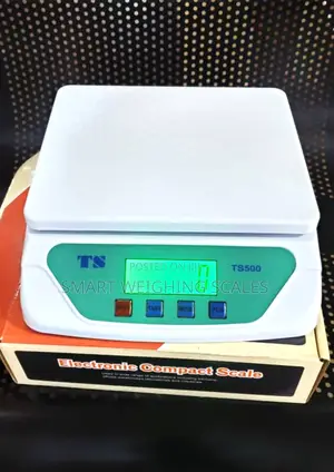 Digital Electro Weighing Scale Heavy-Duty Weigh Digital Weighing Scale